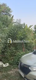 jual cepat rumah dan tanah kosong nya lokasi strategis dan asri cocok untuk investasi dan pembangunan