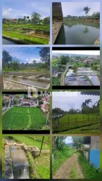 jual kolam ikan,sawah dan tanah
