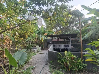 Rumah+tanah yang luas