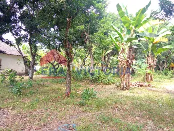 Tanah di Ds Ngadiluwih 5 Menit ke Kantor Desa, Kecamatan, Rumah Sakit, Pusk