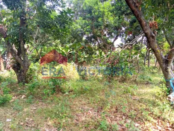 Tanah di Ds Ngadiluwih 5 Menit ke Kantor Desa, Kecamatan, Rumah Sakit, Pusk