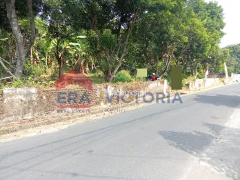 Tanah di Ds Ngadiluwih 5 Menit ke Kantor Desa, Kecamatan, Rumah Sakit, Pusk
