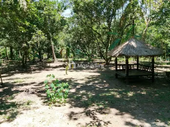 tanah kavling