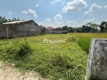 Tanah LT 250m2 di Jalan Lumba-Lumba Sempusari Barat Roxy Mall Jember