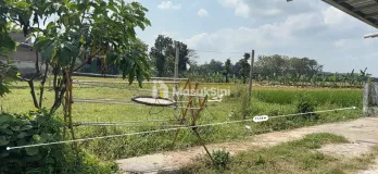 Tanah LT 250m2 di Jalan Lumba-Lumba Sempusari Barat Roxy Mall Jember