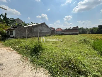 Tanah LT 250m2 di Jalan Lumba-Lumba Sempusari Barat Roxy Mall Jember