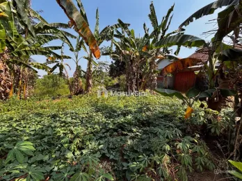 Tanah Pekarangan 200m2 di Slawu Jember