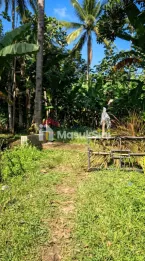 DIJUAL TANAH DI DESA JELUN, LICIN – BANYUWANGI