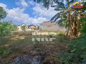Dijual tanah di lingkar ketapang Banyuwangi
