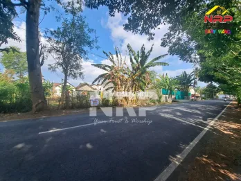 Dijual tanah di lingkar ketapang Banyuwangi