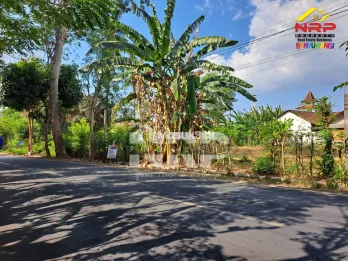 Dijual tanah di lingkar ketapang Banyuwangi