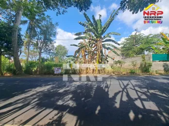 Dijual tanah di lingkar ketapang Banyuwangi