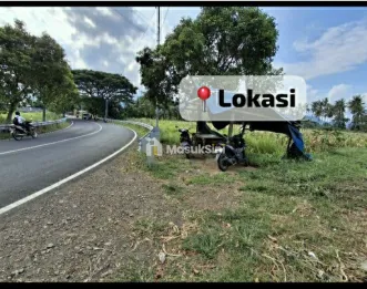 Dijual Tanah Kebun Luas Peruntukan Komersial Di Pinggir Jalan Lingkar Pelabuhan Ketapang Banyuwangi