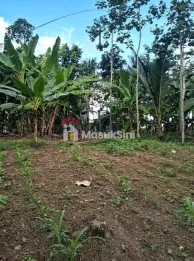 Dijual Tanah Lokasi Banyuwangi Dekat Kawah Ijen Cocok untuk Guest House