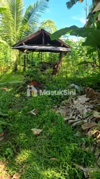 Dijual Tanah Lokasi Banyuwangi Dekat Kawah Ijen Cocok untuk Guest House