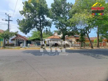 Disewakan tempat usaha di dekat Untag Banyuwangi