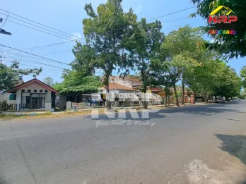 Disewakan tempat usaha di dekat Untag Banyuwangi