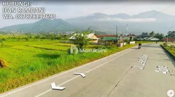 Jual Tanah Sawah 225tumbak
