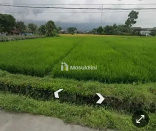 Jual Tanah Sawah 75tumbak