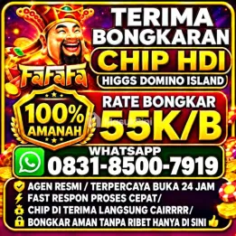 KHUSUS TERIMA BONGKAR CHIP DOMINO ISLAND HIGGS 🔥 BUKA 24JAM WA:0831-8500-7919