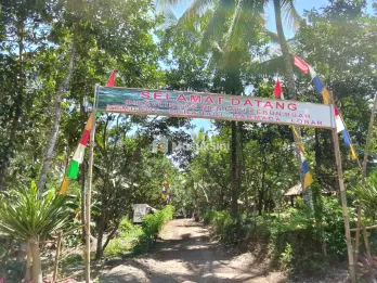 Tanah Kavling murah