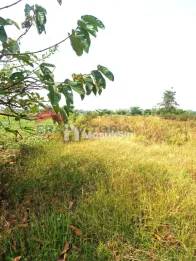 Tanah Lokais Strategis Gresik Akses Mudah Cocok untuk Investasi