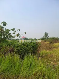 Tanah Lokais Strategis Gresik Akses Mudah Cocok untuk Investasi