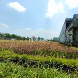 Tanah Luas Jual Area Kedungkandang Cocok untuk Investasi