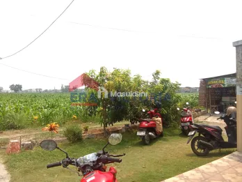 Tanah Sawah di Tambakrejo Jombang Area Perumahan Terdiri 3 Bidang
