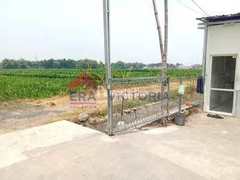 Tanah Sawah di Tambakrejo Jombang Area Perumahan Terdiri 3 Bidang
