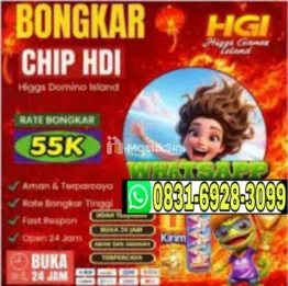 TERIMA BONGKAR CHIP HDI HIGGS DOMINO ISLAND BUKA 24JAM TERIMA BONGKARAN DAN ORDER TERPERCAYA 💯 WA : 0831-6928-3099 ONLI
