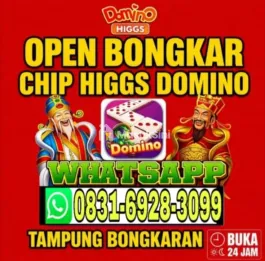 TERIMA BONGKAR CHIP HDI HIGGS DOMINO ISLAND BUKA 24JAM TERIMA BONGKARAN DAN ORDER TERPERCAYA 💯 WA : 0831-6928-3099 ONLI