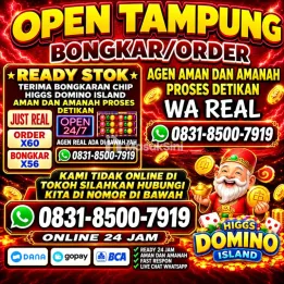 TERIMA BONGKAR CHIP HDI HIGGS DOMINO ISLAND JUAL BELI CHIP HDI WA 083185007919
