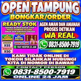 TERIMA BONGKAR CHIP HDI HIGGS DOMINO ISLAND JUAL BELI CHIP HDI WA 083185007919
