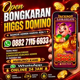 Terima bongkar chip Higgs domino island aman dan terpercaya