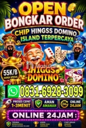 terima bongkar order domino island hdi