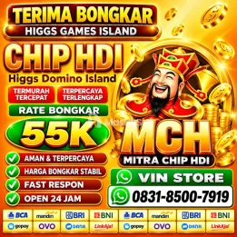 Terima Bongkaran Chip Higgs domino Island Amanah dan terpercaya Wa 083185007919