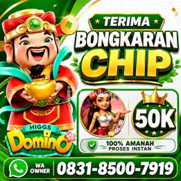 Terima Bongkaran Chip Higgs domino Island Amanah dan terpercaya Wa 083185007919