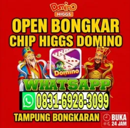 AGEN RESMI TERIMA BONGKAR CHIP HDI HIGGS DOMINO ISLAND BUKA 24JAM TERIMA BONGKARAN DAN ORDER TERPERCAYA 💯 AMAN DAN TERPE