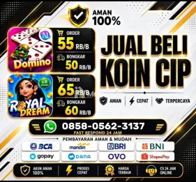 AGEN RESMI TERIMA BONGKAR CHIP HDI & RD AMAN AMANAH DAN TERPERCAYA WA 0858 0562 3137