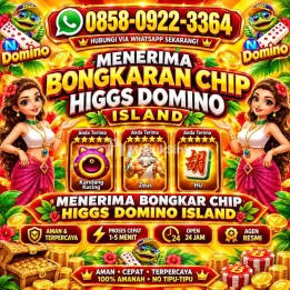 AGEN TERIMA BONGKAR CHIP HDI HIGGS DOMINO ISLAND JUAL BELI CHIP HDI WA 085809223364