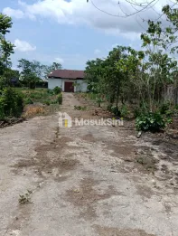 di jual tanah di daerah daerah gowa luas 6000 meter persegi cocok untuk investasi janka panjang dan bisnis devploper per