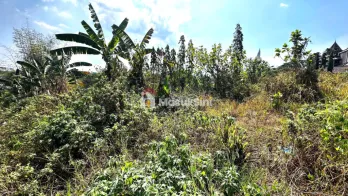 Dijual Tanah Kawasan Dataran Tinggi Potensial Untuk Investasi Bebas Banjir