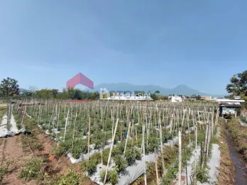 Dijual Tanah Lokasi Strategis Cocok Untuk Investasi Jangka Panjang
