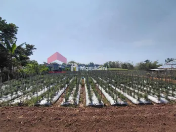Dijual Tanah Lokasi Strategis Cocok Untuk Investasi Jangka Panjang