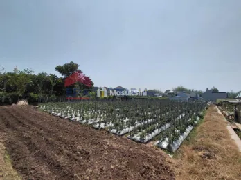 Dijual Tanah Lokasi Strategis Cocok Untuk Investasi Jangka Panjang