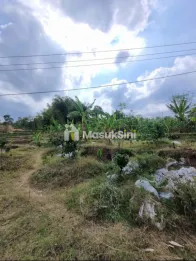 dijual tanah nol jalan
