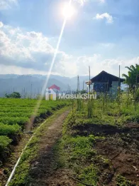 Dijual Tanah Perkebunan View Bagus & Udara Sejuk