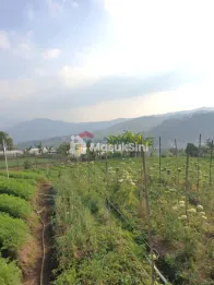 Dijual Tanah Perkebunan View Bagus & Udara Sejuk