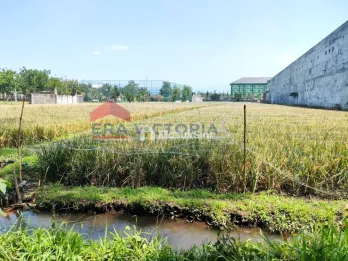 Dijual Tanah SHM 3.612 m² Dekat GOR Ken Arok & Terminal Hamid Rusdi Malang